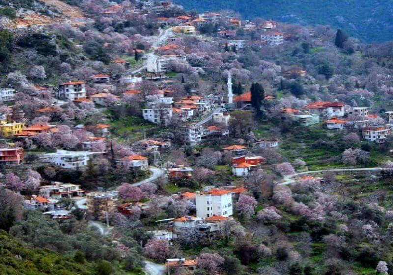 10:30 AM – Journey to Mahmutseydi Village